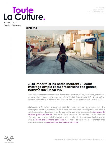 Qu'importe si les bêtes meurent - film - court métrage - Sofia Alaoui - César 2021 - relations presse - Toute La Culture