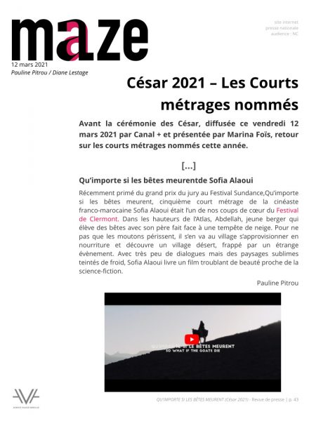 Qu'importe si les bêtes meurent - film - court métrage - Sofia Alaoui - César 2021 - relations presse - Maze